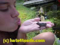 /home//u458753944/public_html/sourcegallery//Frogs/Mixed frogs/P1070615.JPG